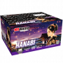 Riakeo Hanabi