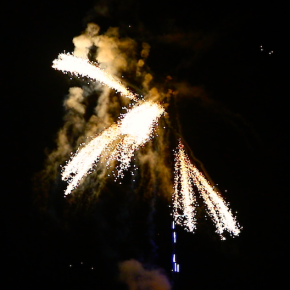 Tropic Willow Waterfall