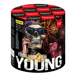 Gaoo Young