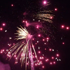 SRPyro Gold-Pinkflower